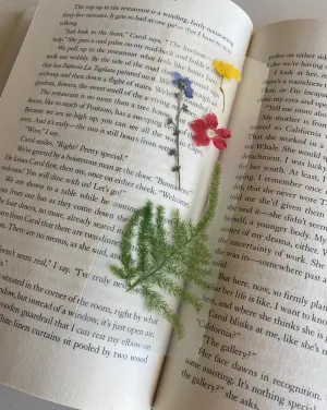 Pressed Flower Bookmark - Lucy Gray Baird