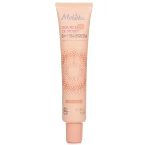Source De Roses Bb 6 In 1 Perfecting Care - # Golden - 40ml/1.3oz